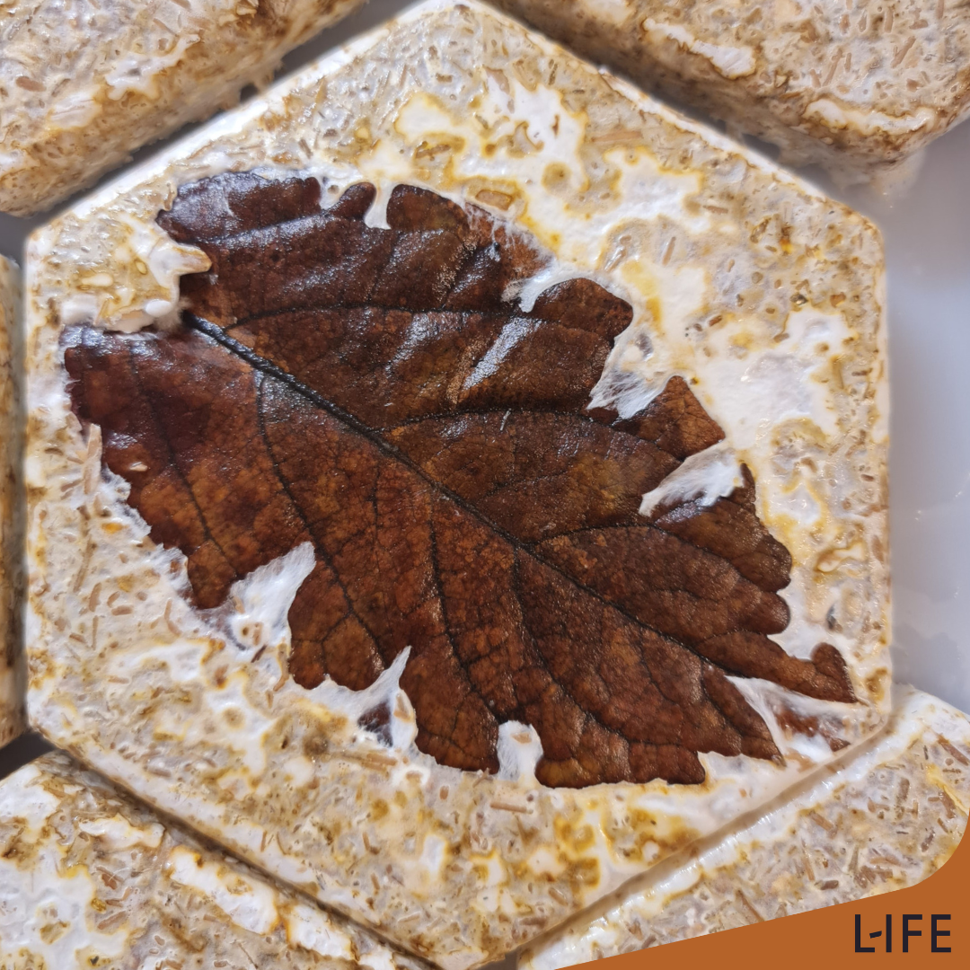 Upcycling della natura