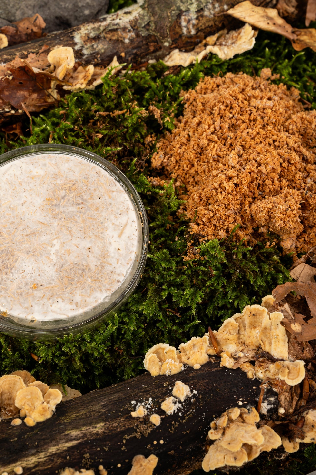 Materiali naturali: sfruttamento delle risorse vs. coltivazione da scarti.