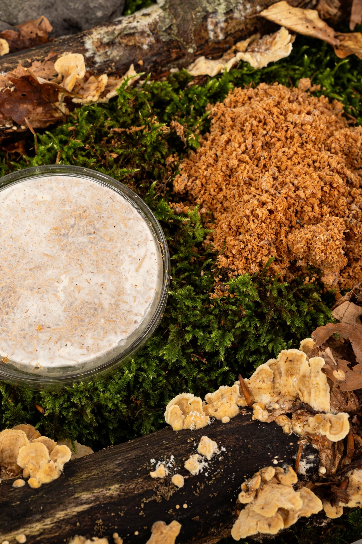 Riutilizzo degli scarti di produzione: da costo a materia prima