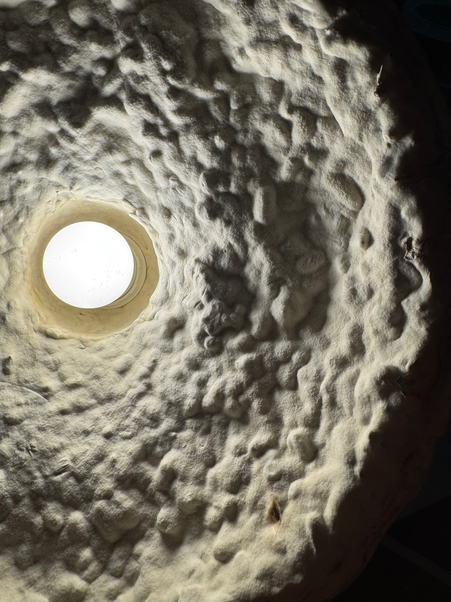 Eco Industrial - Lampada in micelio naturale