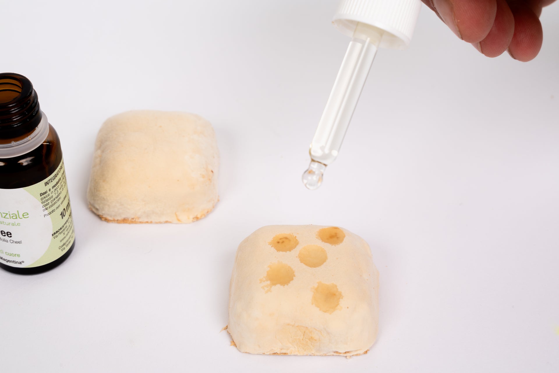 Profumatore Magnetico per auto in micelio