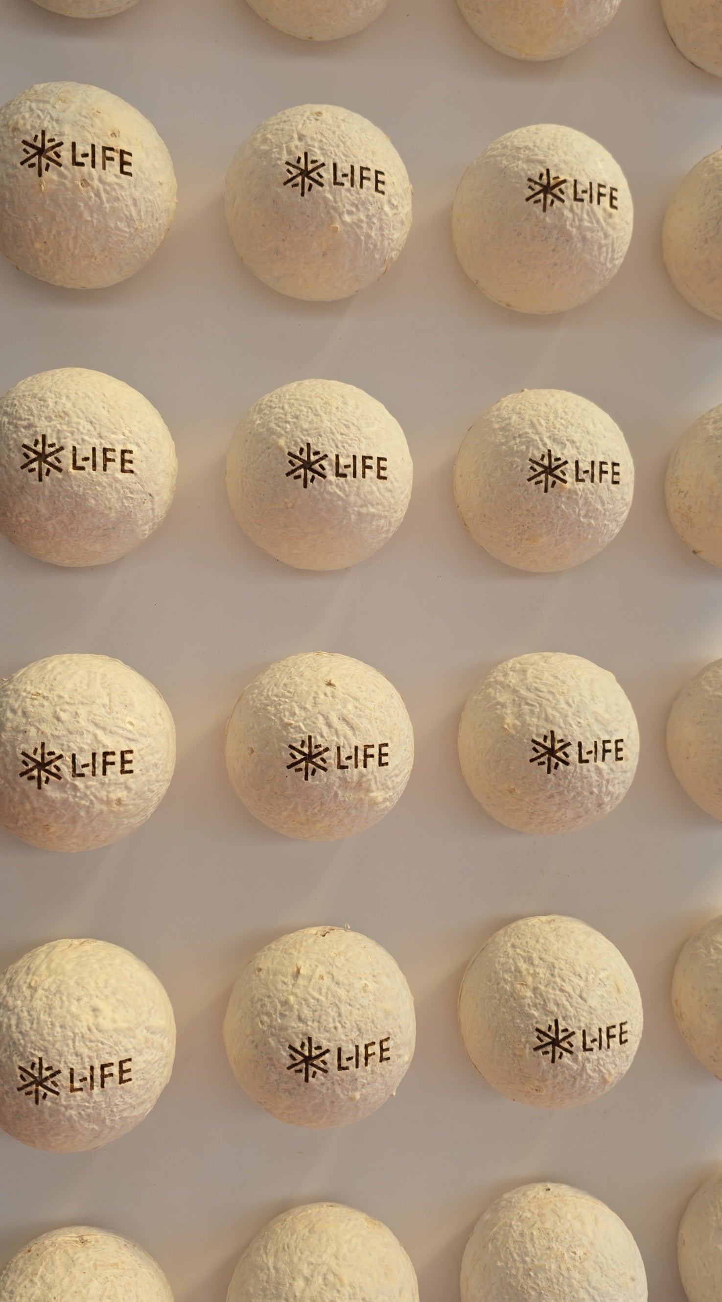 Palline profumate in micelio essenza La saponaria/cirmolo.  kit da 3 pezzi con olio essenziale